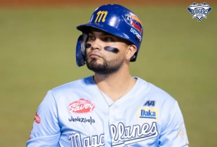 道奇签下阿方索。  翻摄DodgersNation X