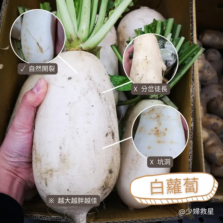 市場攤販教民眾如何識別「優質白蘿蔔」。翻攝廖炯程臉書