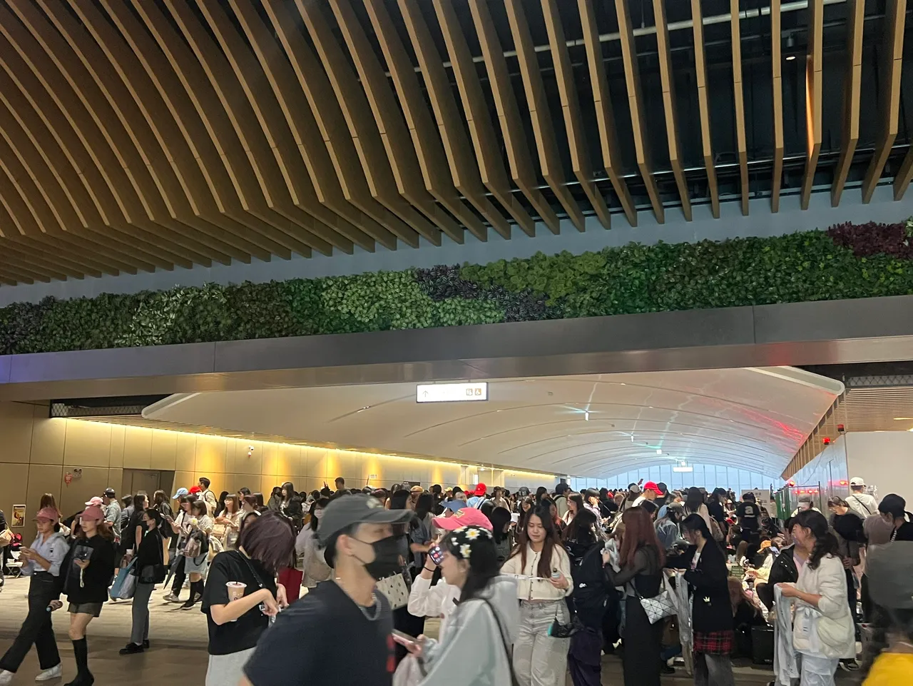 GD大巨蛋开唱,带来满满人潮。陈薇安摄