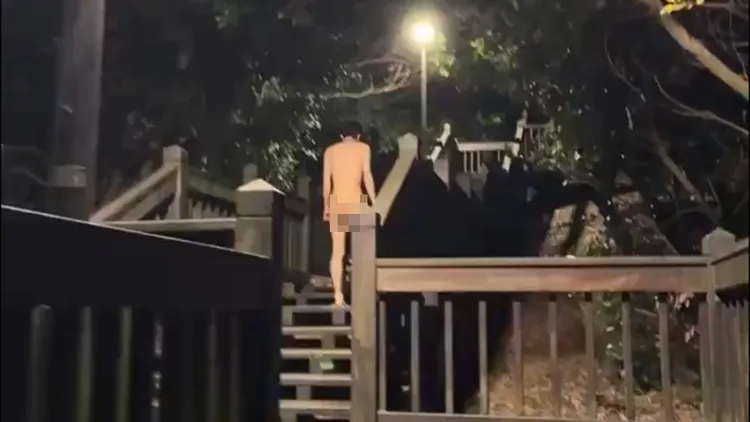 有人裸体在南港公园游走被直击。翻摄自X