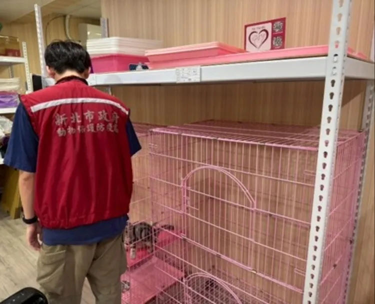 該店家錶面整潔但內部髒亂不堪，飼養環境多處違規，遭開罰15萬元。翻攝畫面