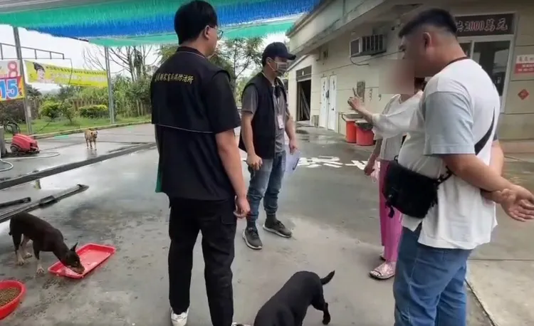 婦人長期餵養犬群致社區不安，遭嘉畜所開罰8. 6萬，還提告妨礙公務。翻攝畫面