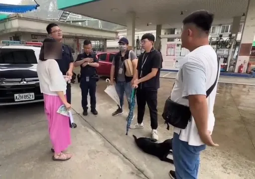 長期餵養犬群致社區不安！嘉畜所開罰婦人8. 6萬　還因這事提告妨礙公務