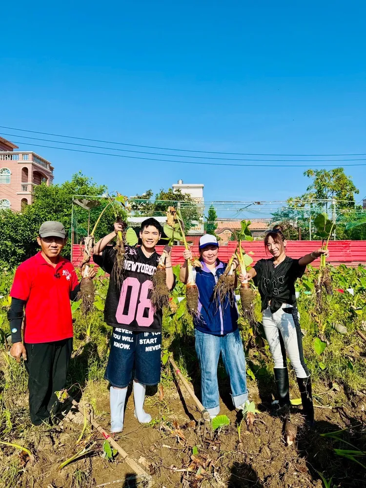 段慧琳（右一）和小鹿（左二）在小金門採芋頭。民視提供