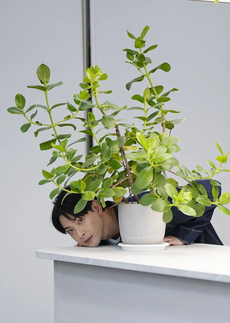 連晨翔因《舊金山美容院》和言言才進一步發展。彭欣偉攝