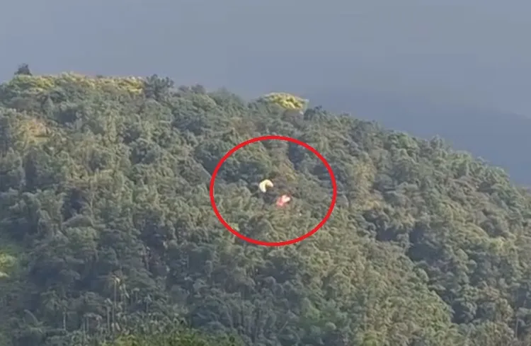 南投埔里虎头山昨发生2具飞行伞在空中交缠坠落的意外，所幸当时离地不高，伞具挂在树上未造成人员受伤。翻摄脸书爆料公社公开版