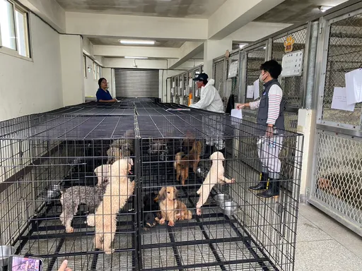 苗栗犬舍违法割声带查7次竟无违法　动防所长下台再挨告图利罪