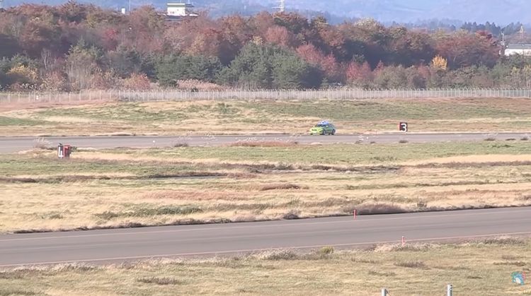 誇張！日本黑熊亂入機場　航管緊急暫停所有航班