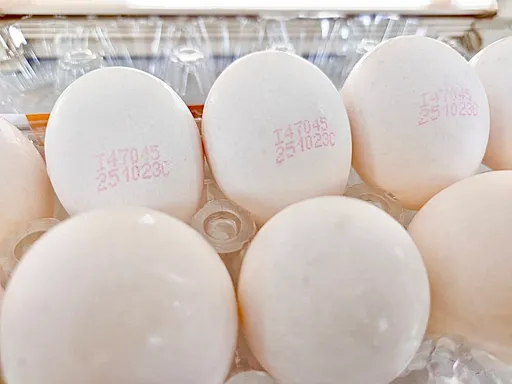 首度以溯源碼追蹤農藥超標　彰化縣公布9款16項違規蛋品