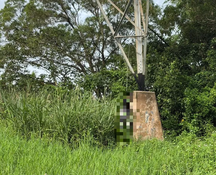 现场。翻摄画面