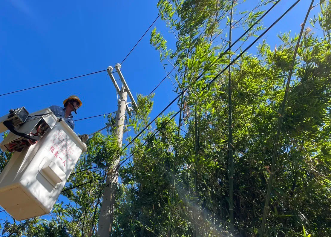 台電啟動防颱整備作業，全面加強鄰近供電線路樹竹修剪。台電提供