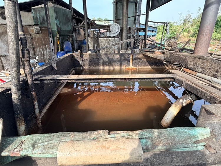 台中養豬場被爆偷用廚餘 飼主喊冤:燒開水餵豬!市府採血檢驗