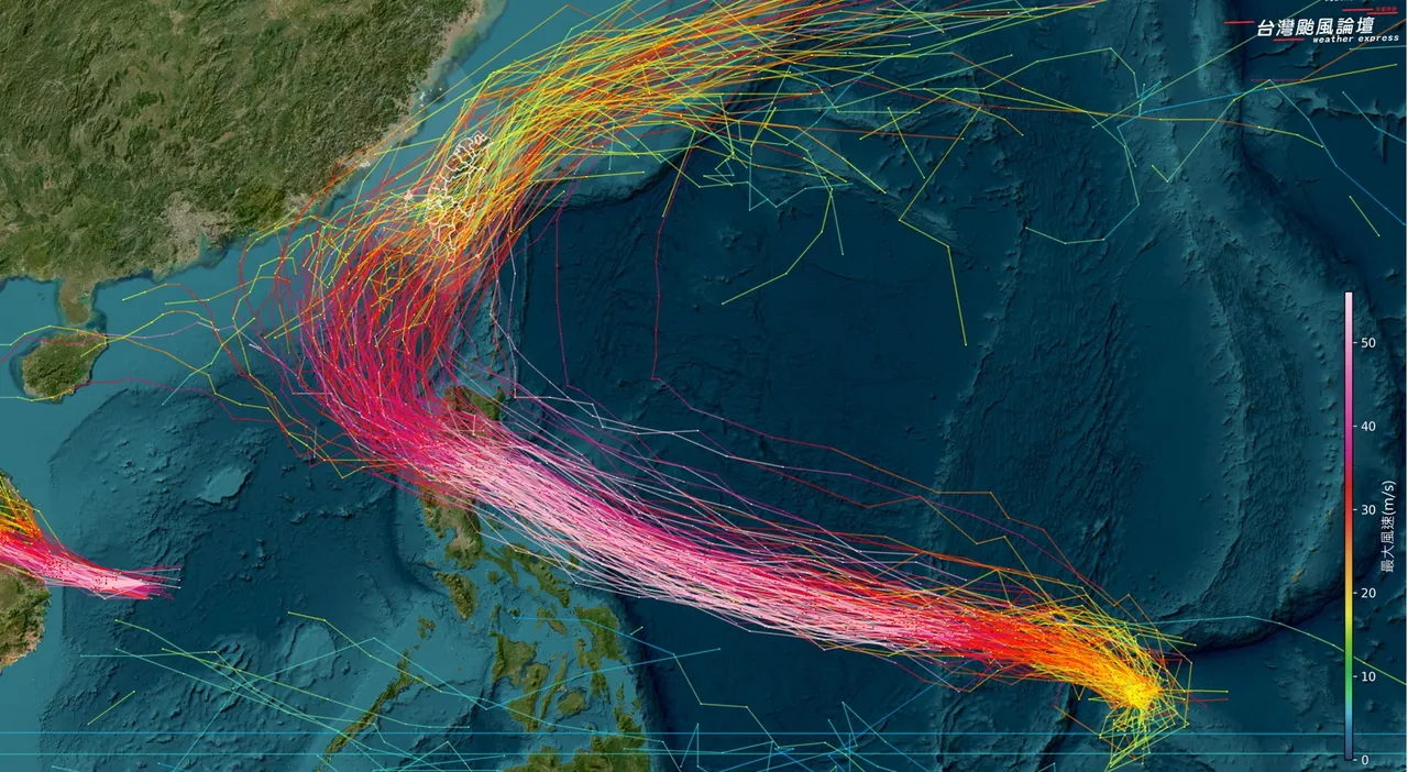 鳳凰颱風「朝台灣接近」強度不容小覷！歐洲模式與AI預測一致