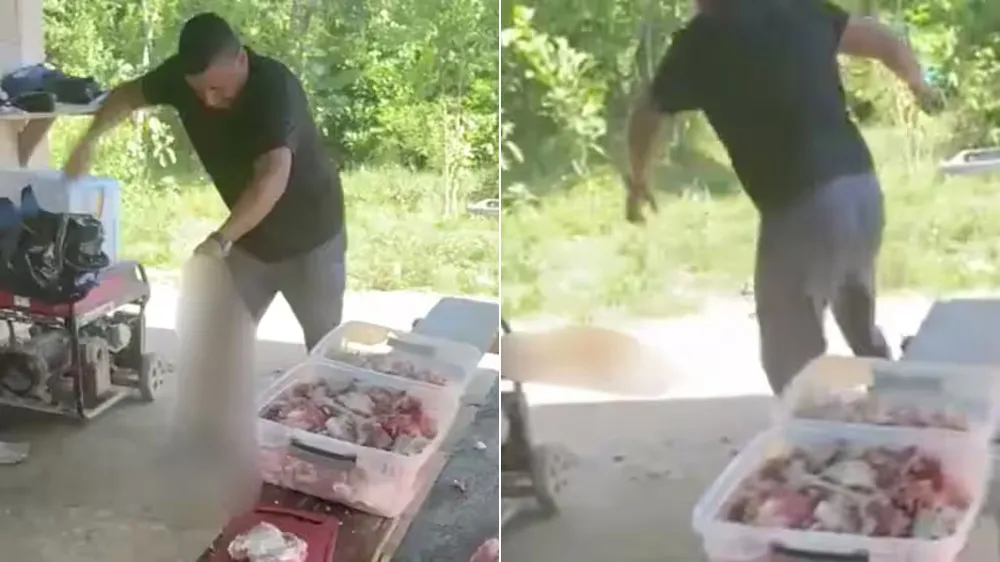 狗狗乞食竟遭当场虐杀　恶饲主被悬赏41万元全国肉搜