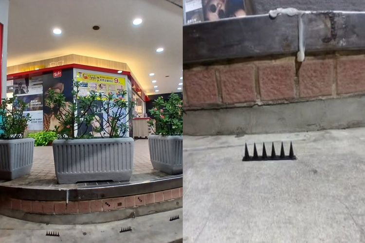 逼街友離開!他擺「驅鳥神器」尖刺擋道 危及群眾反遭警送辦