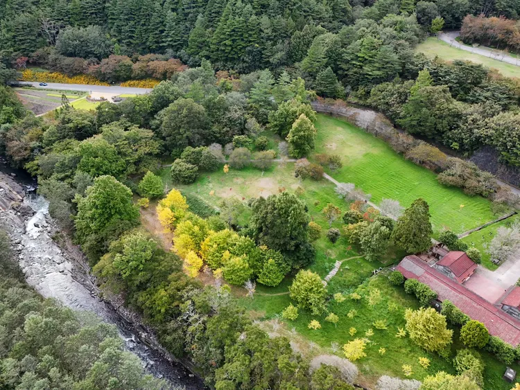 凤凰台风来袭　武陵、清境、福寿山农场11日下午2时起休园