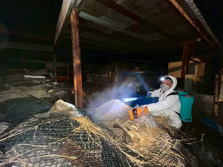 台中市动保处人员昨天迳自进入案例场清消，被农业部长陈骏季批评「鲁莽」，绿营民代要求卢秀燕道歉。资料照片