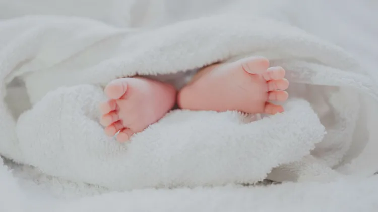 示意圖。翻攝自Unsplash