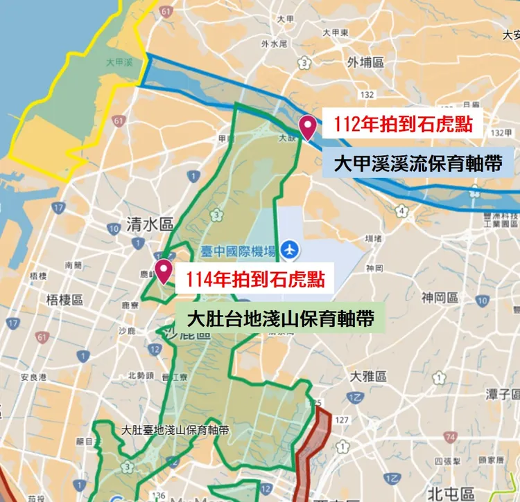 石虎發現位置。林業保育署提供