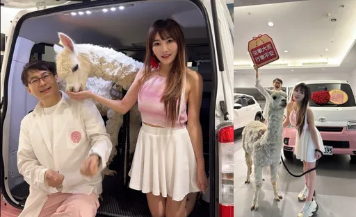 十亿女星替巨大「草泥马」换车　霸气喊：只追逐数字会变金钱奴隶