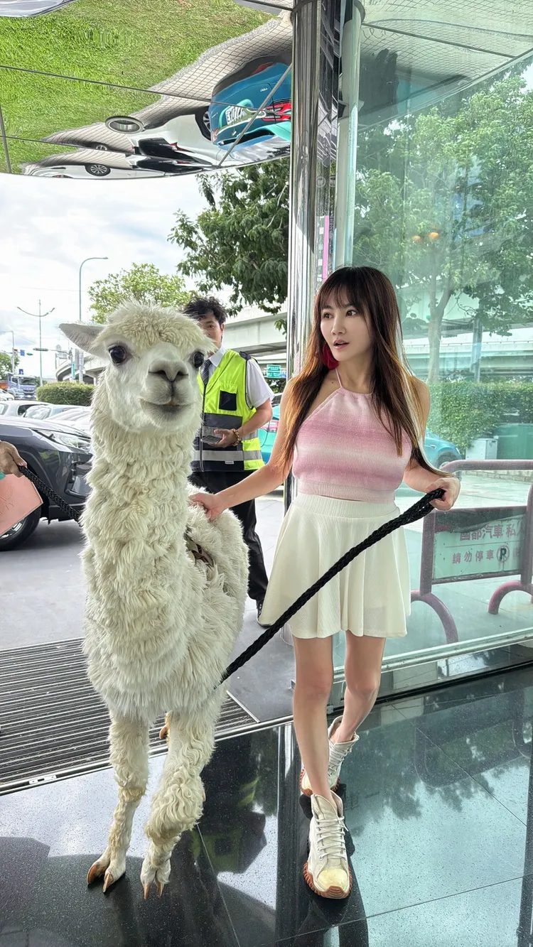 王宥忻平時帶著羊駝麥可出門，總是引起滿滿的回頭率。女神愛啪啪 IPAPA》提供