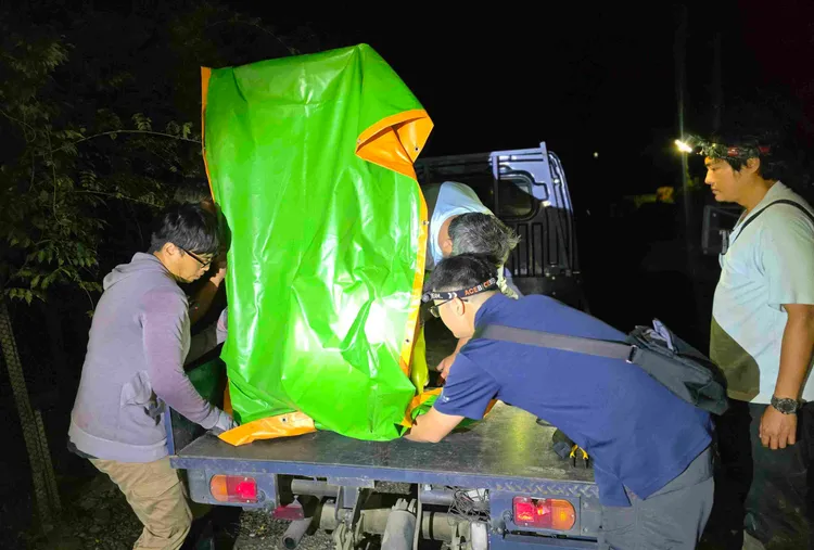 小黑熊被捕獲後送東部野生動物救傷中心野灣動物醫院檢查。林保署花蓮分署提供