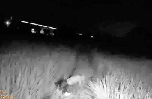 老翁倒臥在埂邊。竹北警分局提供