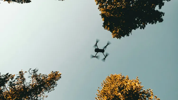 示意圖。翻攝自Unsplash