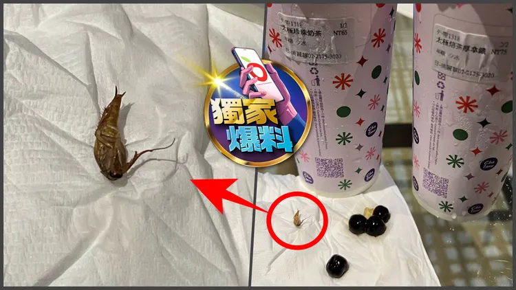 民眾在日出茶太美麗華店喝到飲料內有整隻蟑螂。圖片取自Google評論/ugo