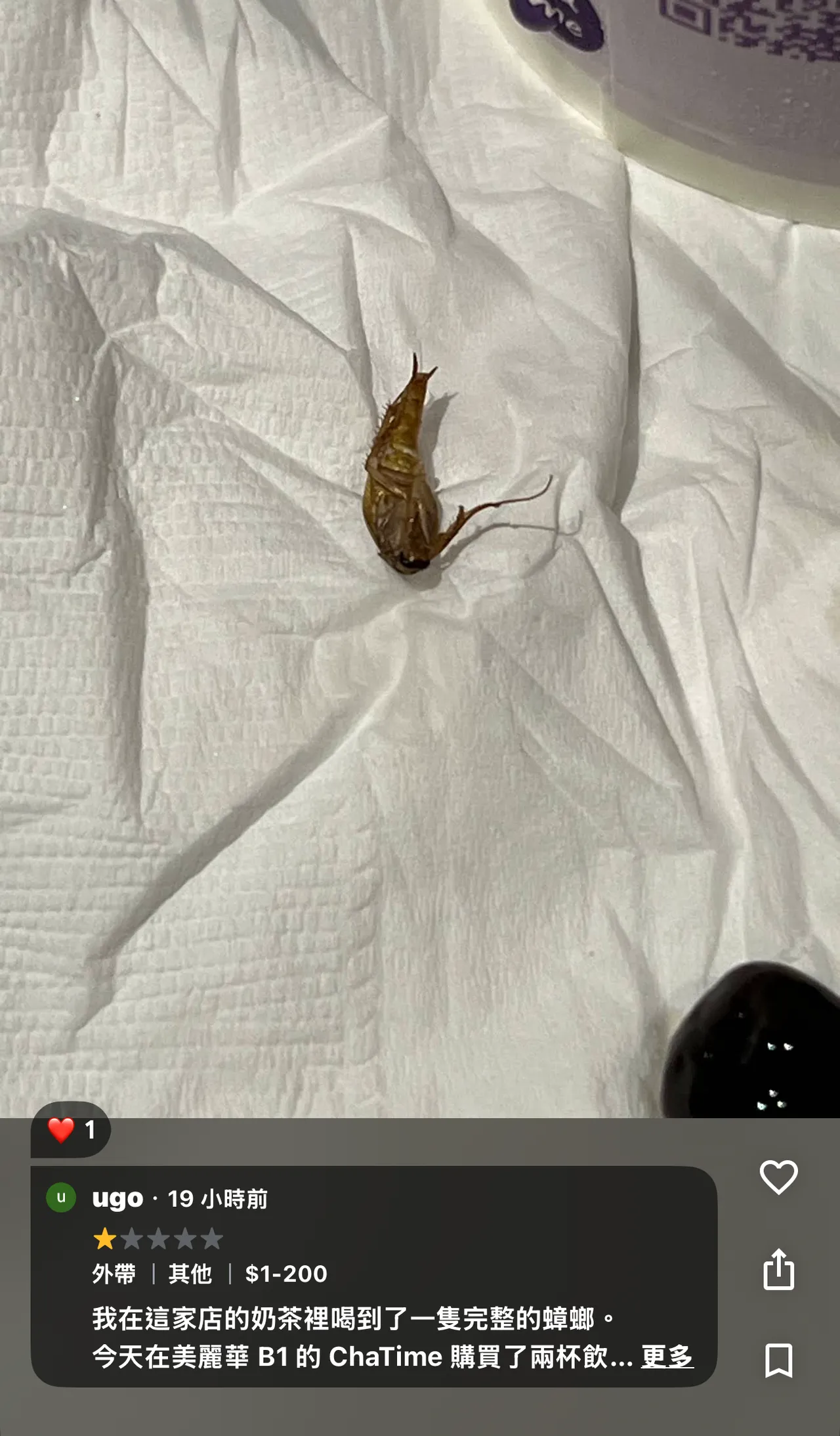 民眾在日出茶太美麗華店喝到飲料內有蟑螂。圖片取自Google評論/ugo