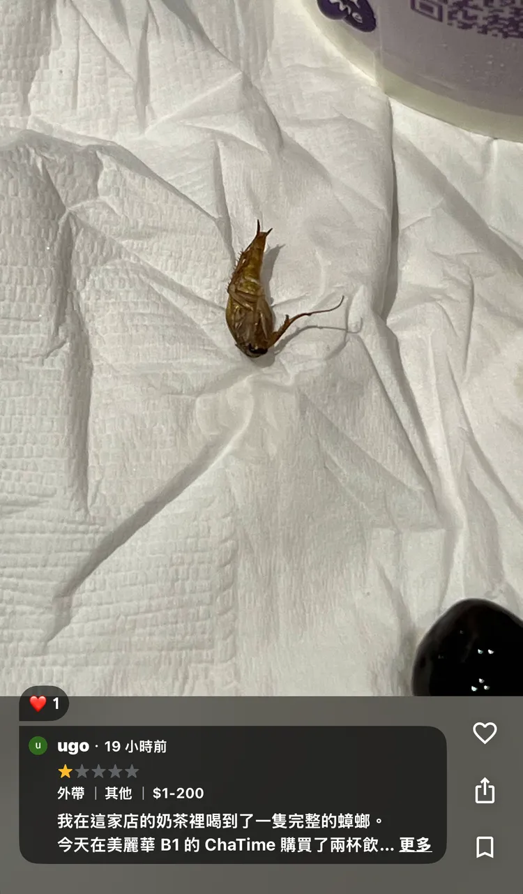 民眾在日出茶太美麗華店喝到飲料內有蟑螂。圖片取自Google評論/ugo