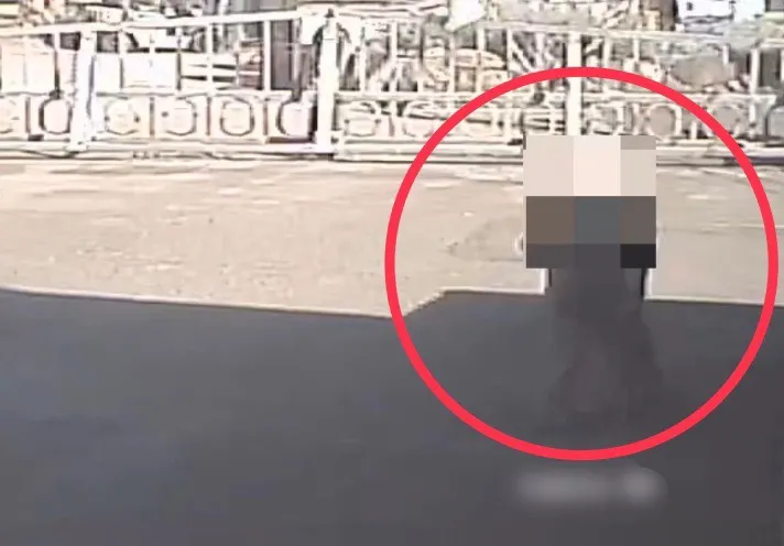 監視器拍下劉男進入廠區身影。翻攝畫面