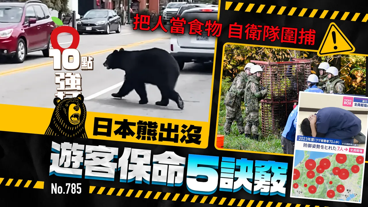 日本「熊出没」把人当食物　自卫队围捕！游客保命5诀窍（壹苹10点强打）