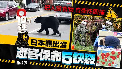 日本「熊出没」把人当食物　自卫队围捕！游客保命5诀窍（壹苹10点强打）