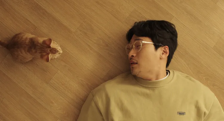 吳東旻透露貓咪演員很抗拒靠近他。華映娛樂提供