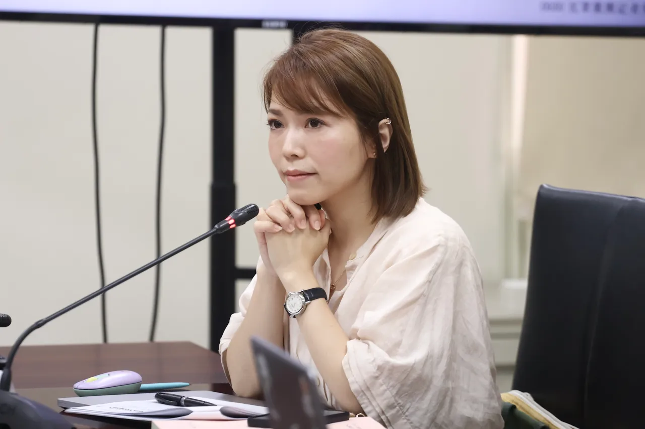 2026县市长选举不接受「蓝正白副」！ 陈智菡：不要搞得像选前分位子