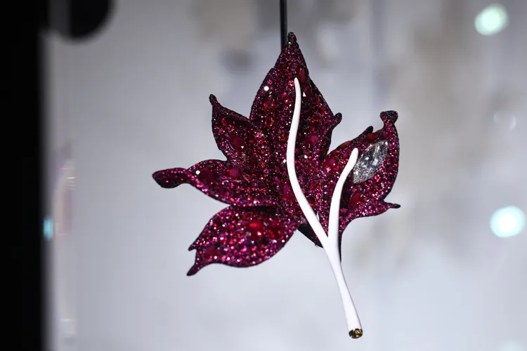 王陽明獨鍾紅色楓葉作品，紅寶石楓葉胸針。特勤中心攝