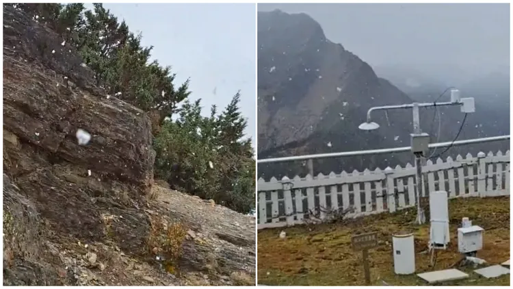 玉山今（20）日中午降下今年初雪。读者提供