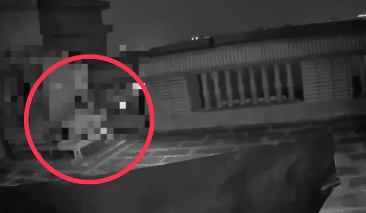 苏男用刀抵住陈女脖子退到水塔下方角落，呛声不复合就要同归于尽，与警对峙一小时后，将陈女推开，自己从15楼坠下身亡。翻摄画面