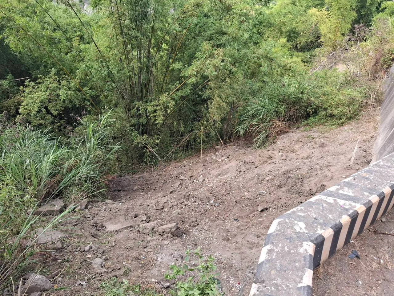 高市环保局紧急派人清运，昨天中午已经清除。资料照