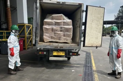 出口蝦放射汙染超標　印尼銷毀5.7噸