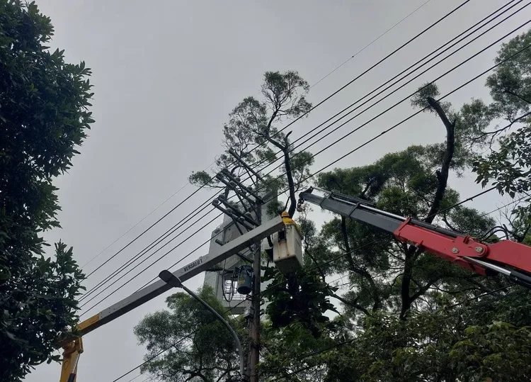 樹竹修剪及礙子清洗作業。桃園區營業處提供