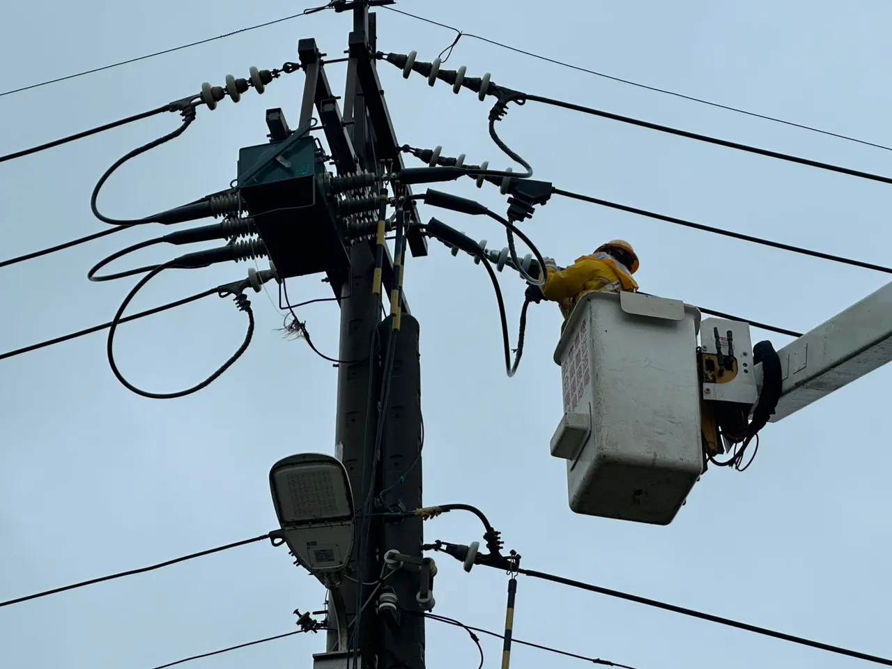 碍子清洗作业。桃园区营业处提供