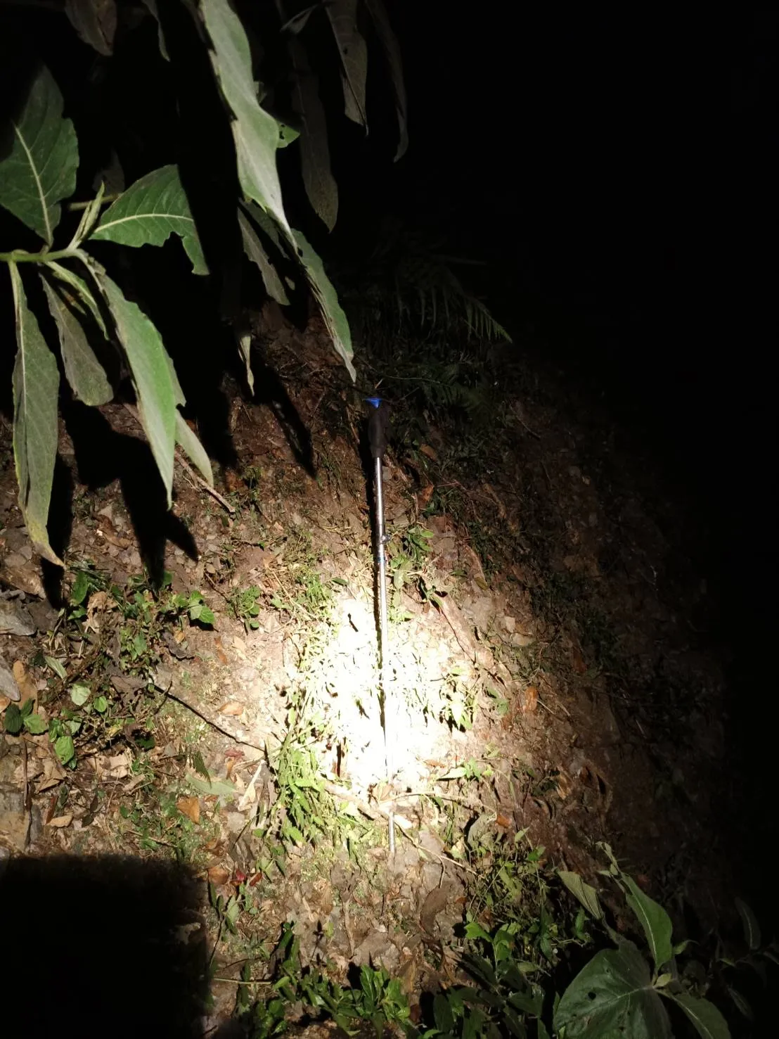 失踪者的登山杖。民众提供