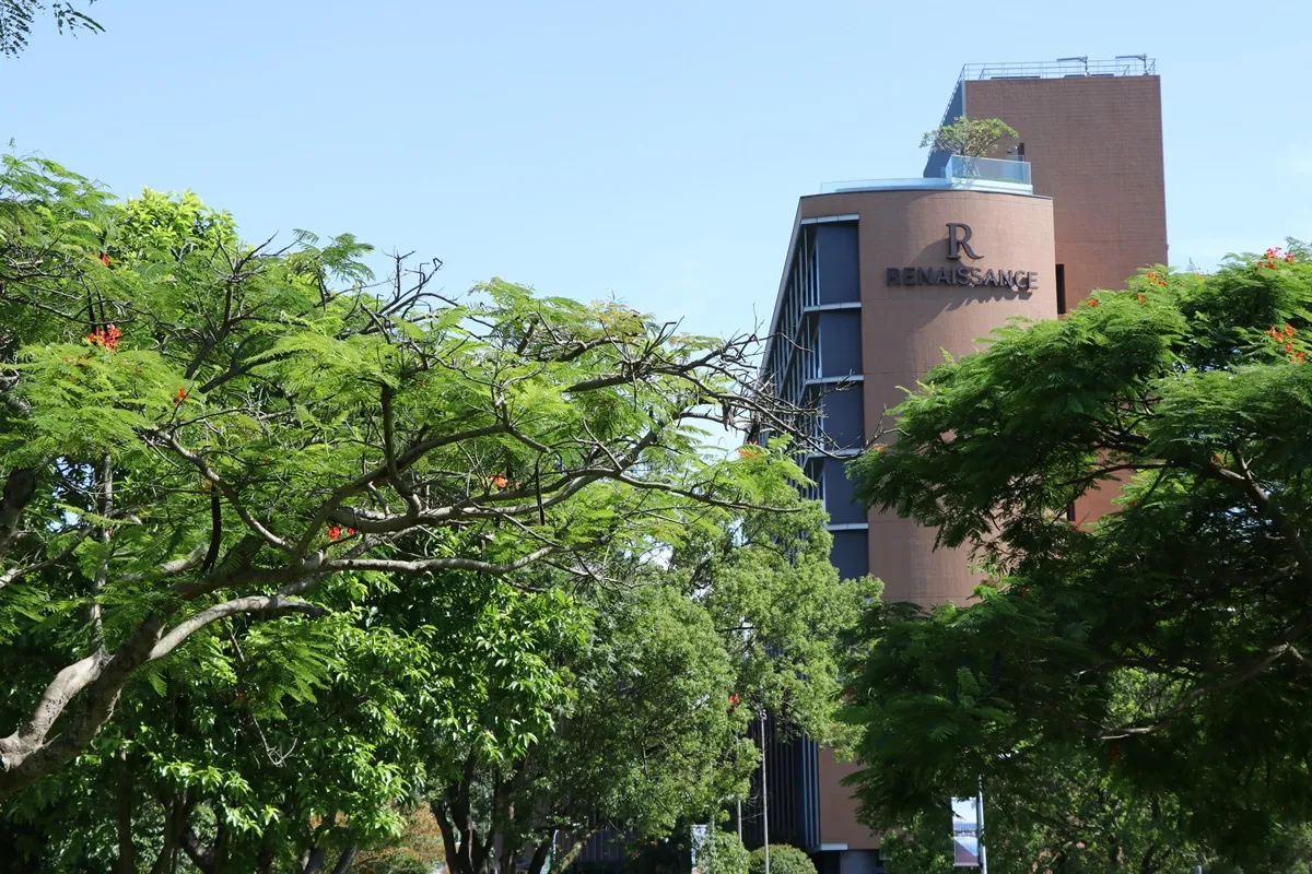 现场购券还可享受「展场限定赠礼」与「满额抽奖」双重惊喜。单笔消费满额可获香氛片、茶叶罐组等好礼赠品。台北士林万丽酒店提供