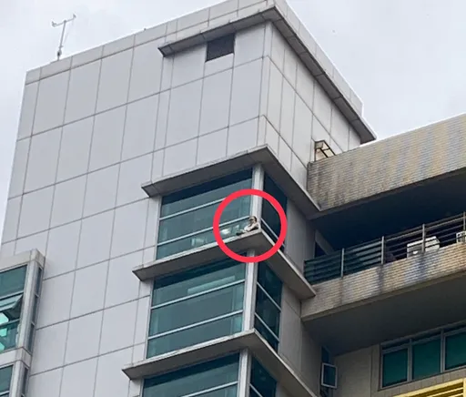 命懸一線！台科大學生危坐12樓雨遮　消防隊高空勸說救一命