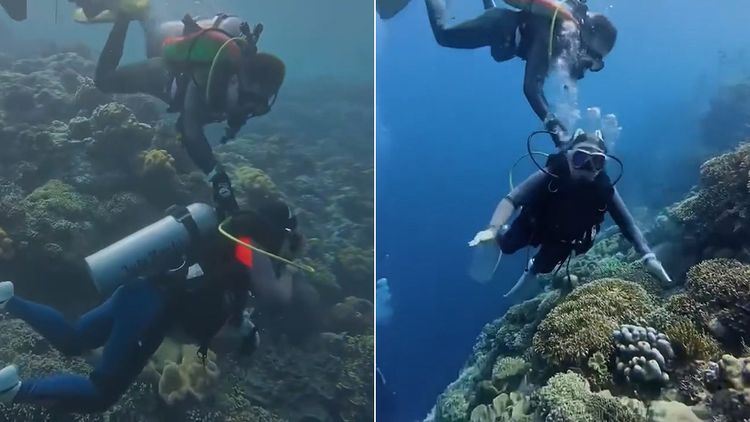 海中偷關女潛水者氧氣瓶　他po片炫耀：雙機位拍下我輕柔手法