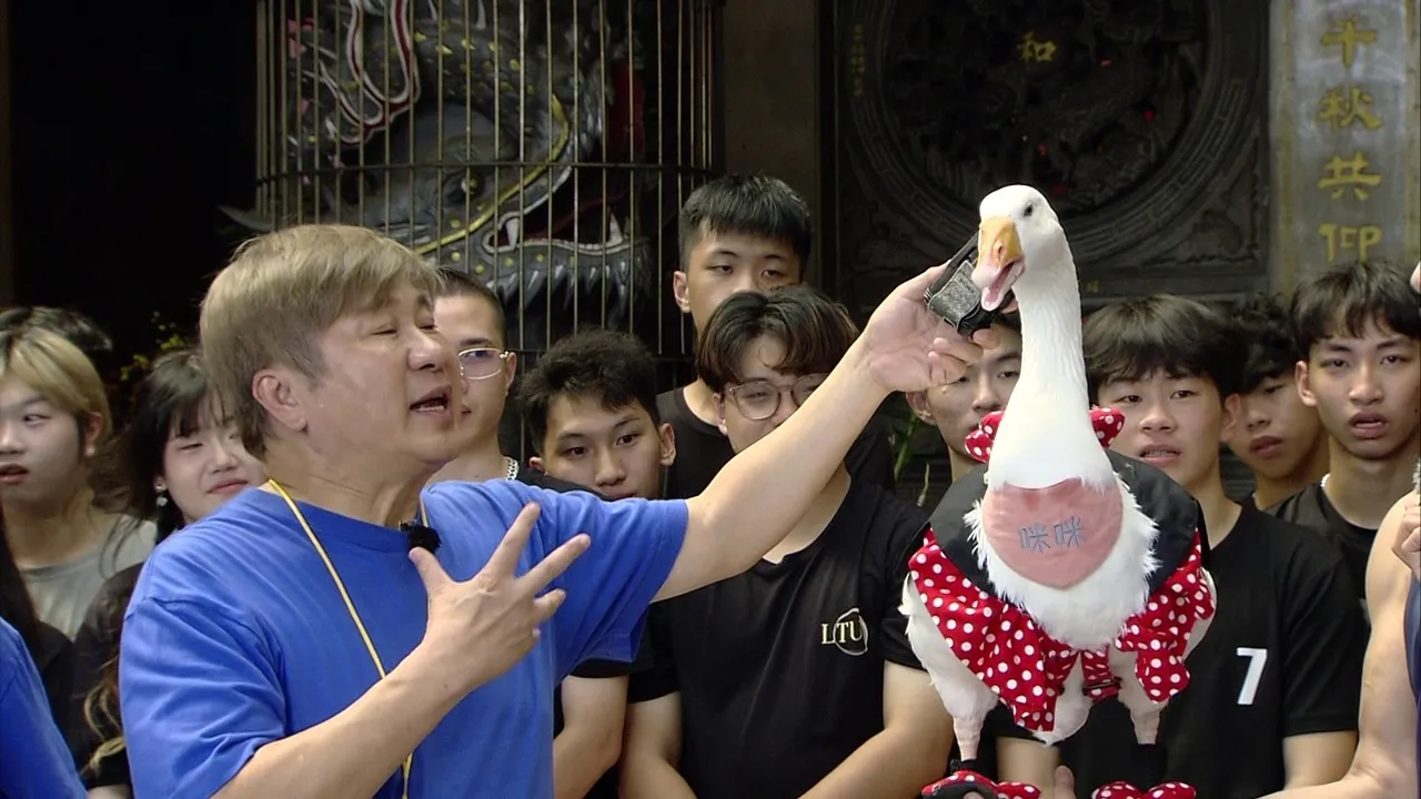 「鹅」意外闯入录影现场。民视提供