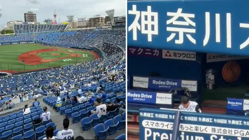 还在犹豫换机？他亲测iPhone 17「神级镜头」！网全跪了