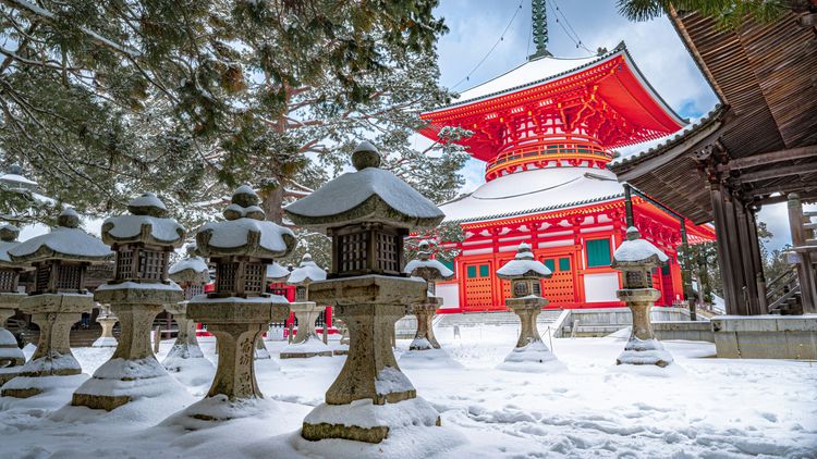 冬天遊日本別穿發熱衣? 她補充「有前提」你要先有這一件